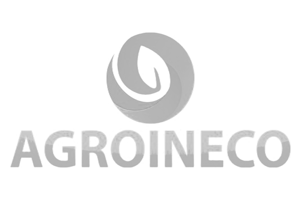 Logotipo de AGroineco en escala de grises y transparencia